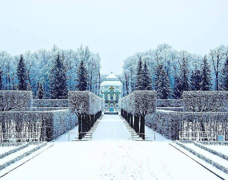 Фото этой зимой уже твои))) 2026. Фотограф Александр Евро