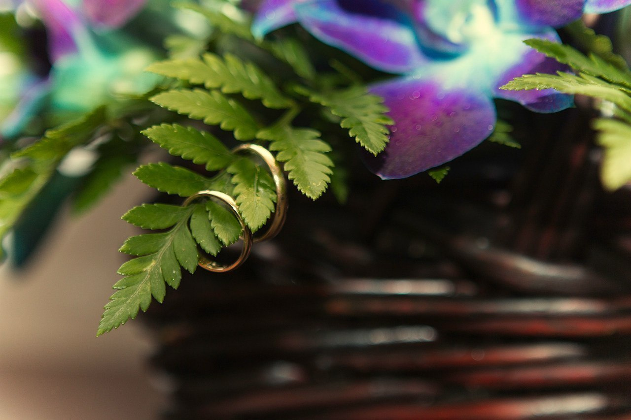 СВАДЕБНОЕ. Фотограф Сонкина Татьяна