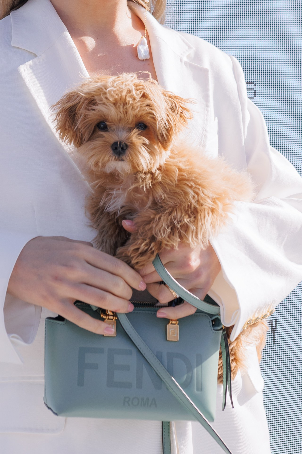 KAMERGER SUMMER. Репортажный фотограф в Санкт-Петербурге Александр Паклин