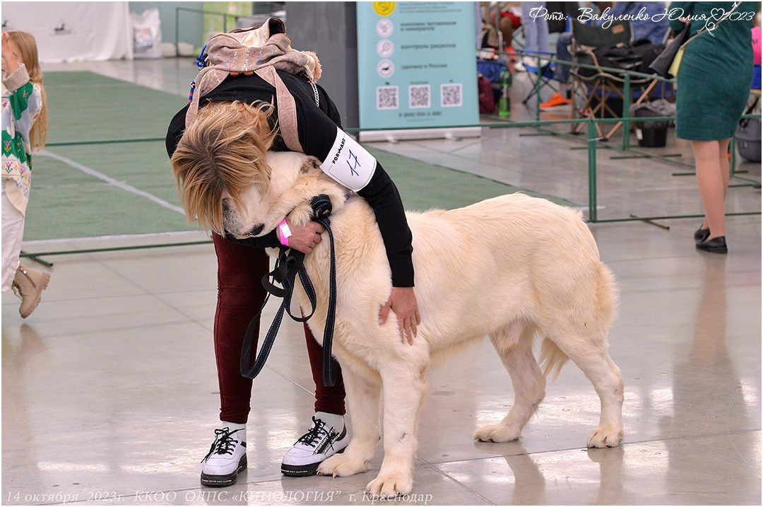 Репортаж. Фотограф анималист | семейный Юлия Вакуленко, г. Краснодар