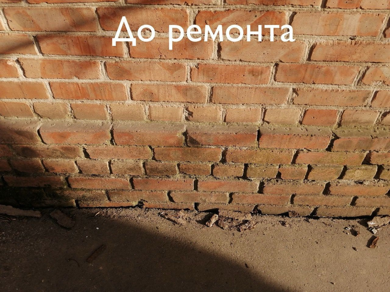 Ростовская обл., г. Ростов-на-Дону, ул. Грисенко, д. 40. СК Цербер