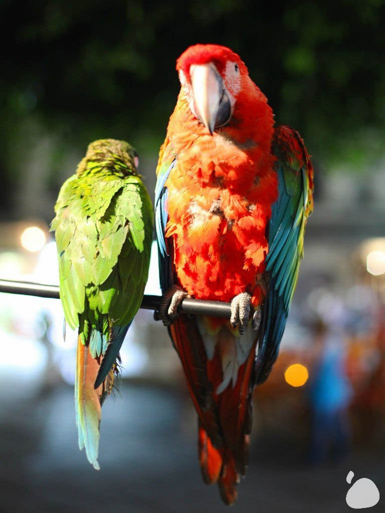 Город|природа. Профессиональный фотограф Инесса Новикова в Москве