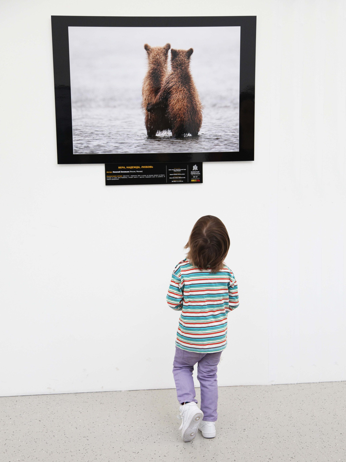 Семья. Профессиональный фотограф Инесса Новикова в Москве