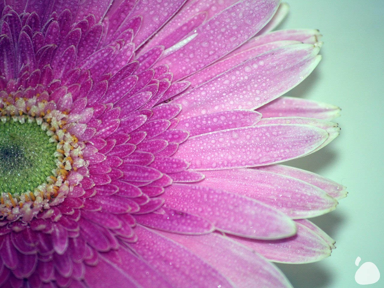 Город|природа. Профессиональный фотограф Инесса Новикова в Москве