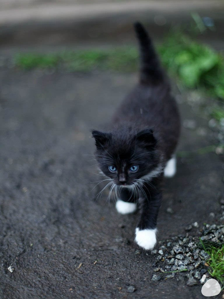 Город|природа. Профессиональный фотограф Инесса Новикова в Москве