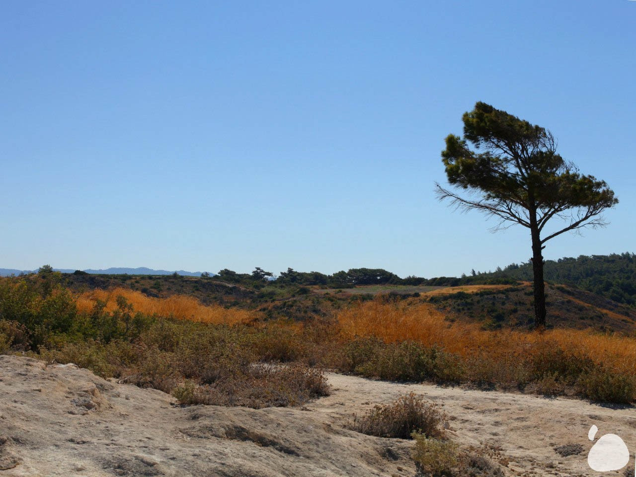 Город|природа. Профессиональный фотограф Инесса Новикова в Москве