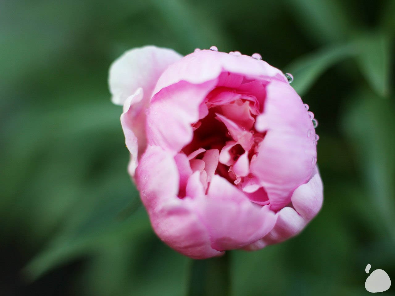 Город|природа. Профессиональный фотограф Инесса Новикова в Москве