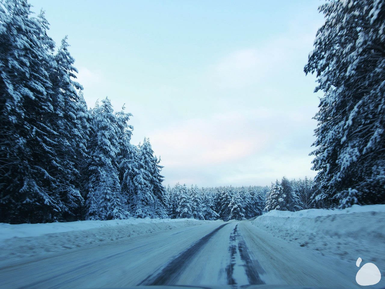 Город|природа. Профессиональный фотограф Инесса Новикова в Москве