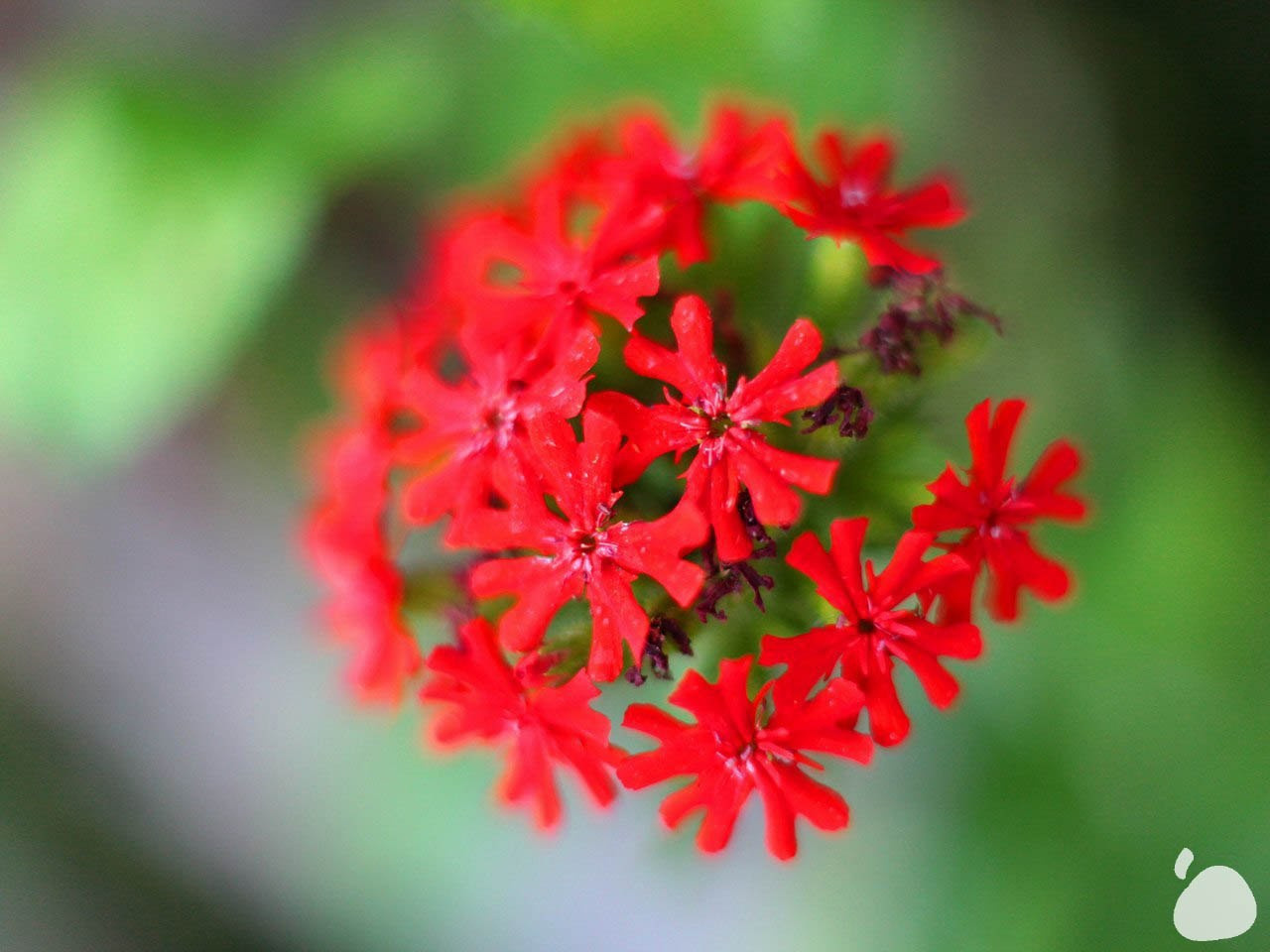 Город|природа. Профессиональный фотограф Инесса Новикова в Москве