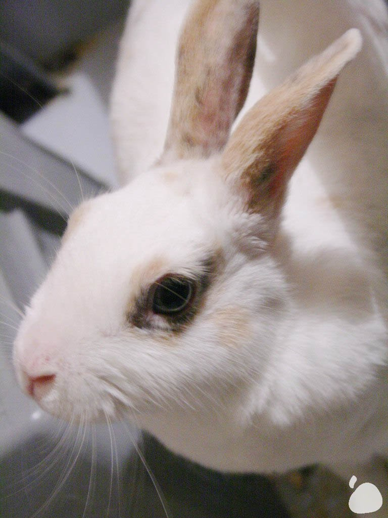 Город|природа. Профессиональный фотограф Инесса Новикова в Москве