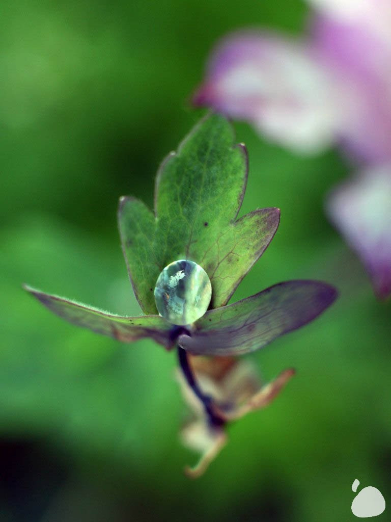 Город|природа. Профессиональный фотограф Инесса Новикова в Москве