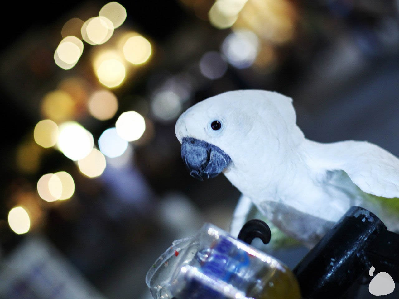 Город|природа. Профессиональный фотограф Инесса Новикова в Москве