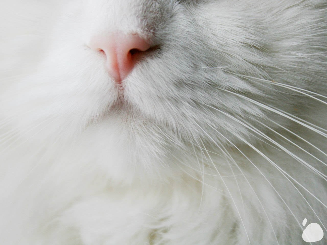 Город|природа. Профессиональный фотограф Инесса Новикова в Москве