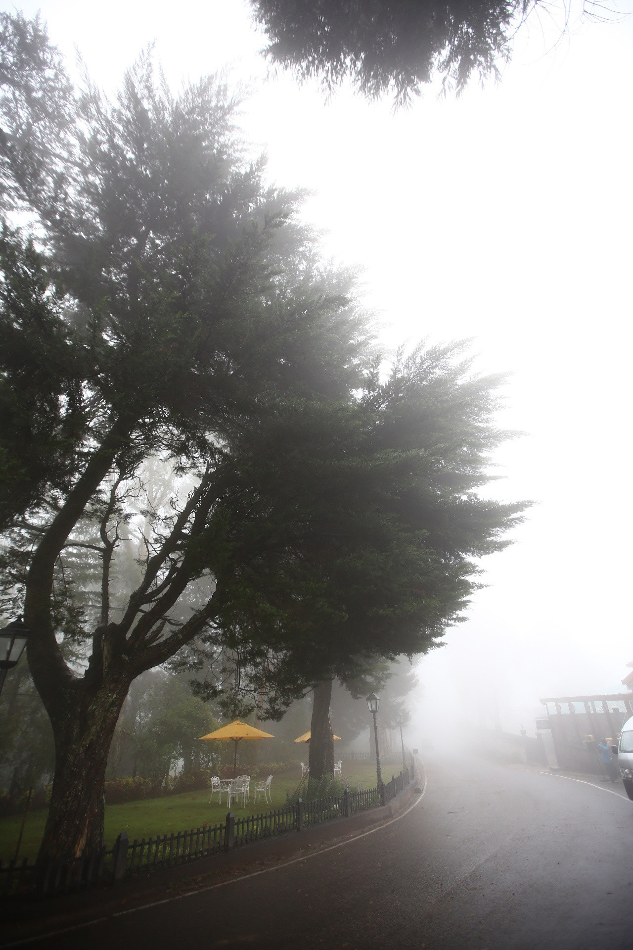 Город|природа. Профессиональный фотограф Инесса Новикова в Москве