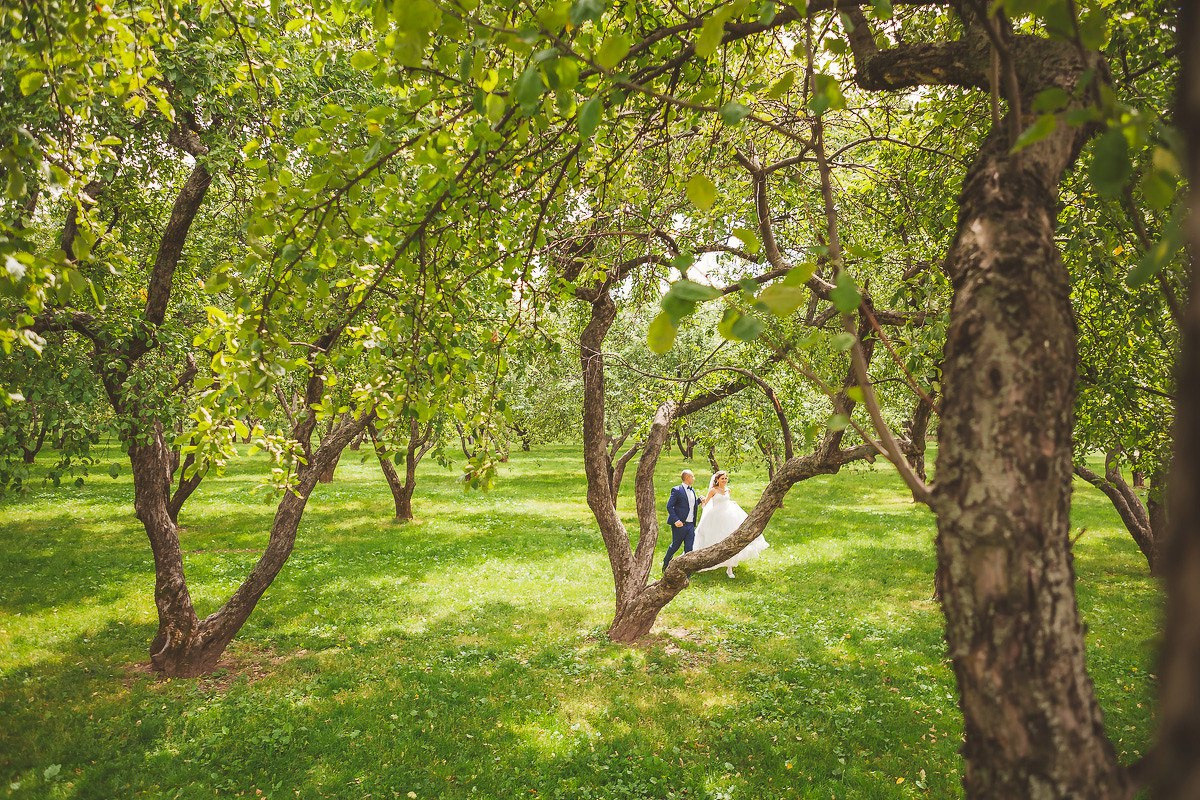 Свадьбы|лав-стори. Профессиональный фотограф Инесса Новикова в Москве