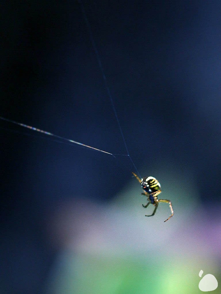 Город|природа. Профессиональный фотограф Инесса Новикова в Москве