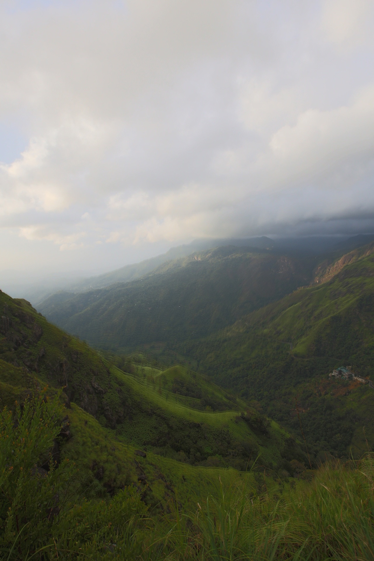 Город|природа. Профессиональный фотограф Инесса Новикова в Москве