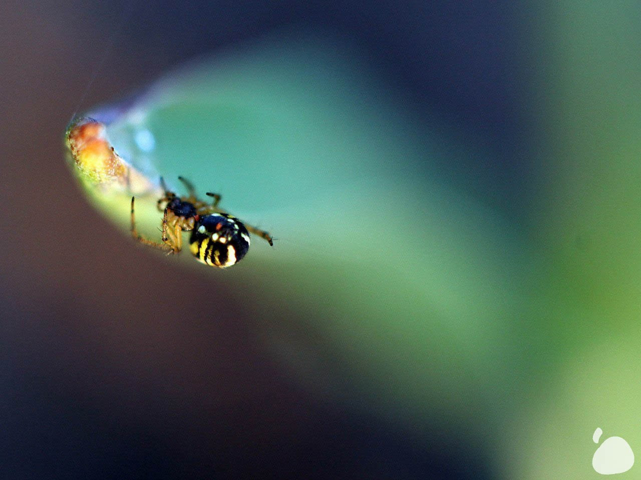 Город|природа. Профессиональный фотограф Инесса Новикова в Москве
