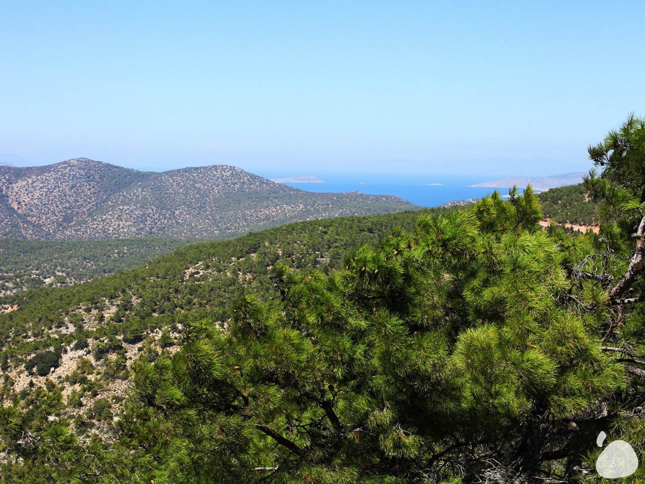 Город|природа. Профессиональный фотограф Инесса Новикова в Москве