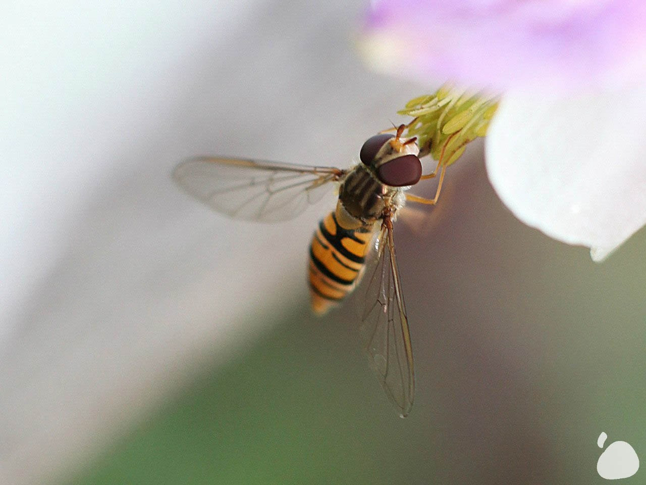 Город|природа. Профессиональный фотограф Инесса Новикова в Москве