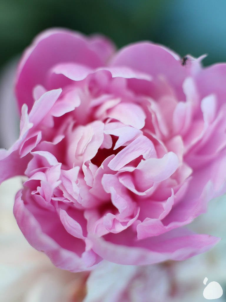 Город|природа. Профессиональный фотограф Инесса Новикова в Москве