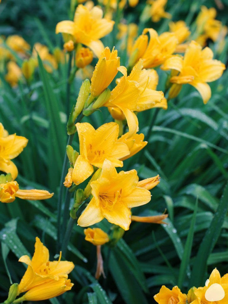 Город|природа. Профессиональный фотограф Инесса Новикова в Москве