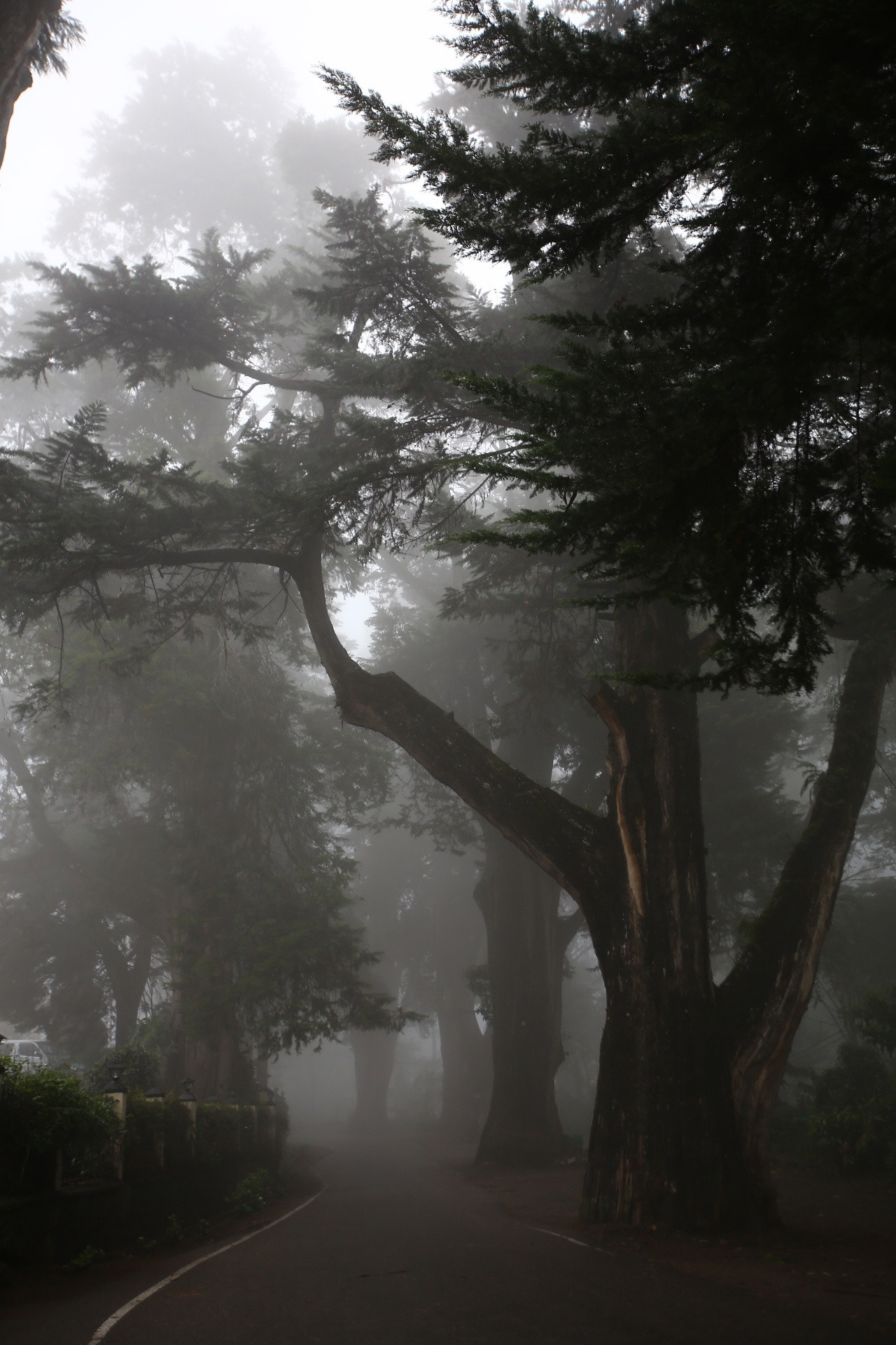 Город|природа. Профессиональный фотограф Инесса Новикова в Москве
