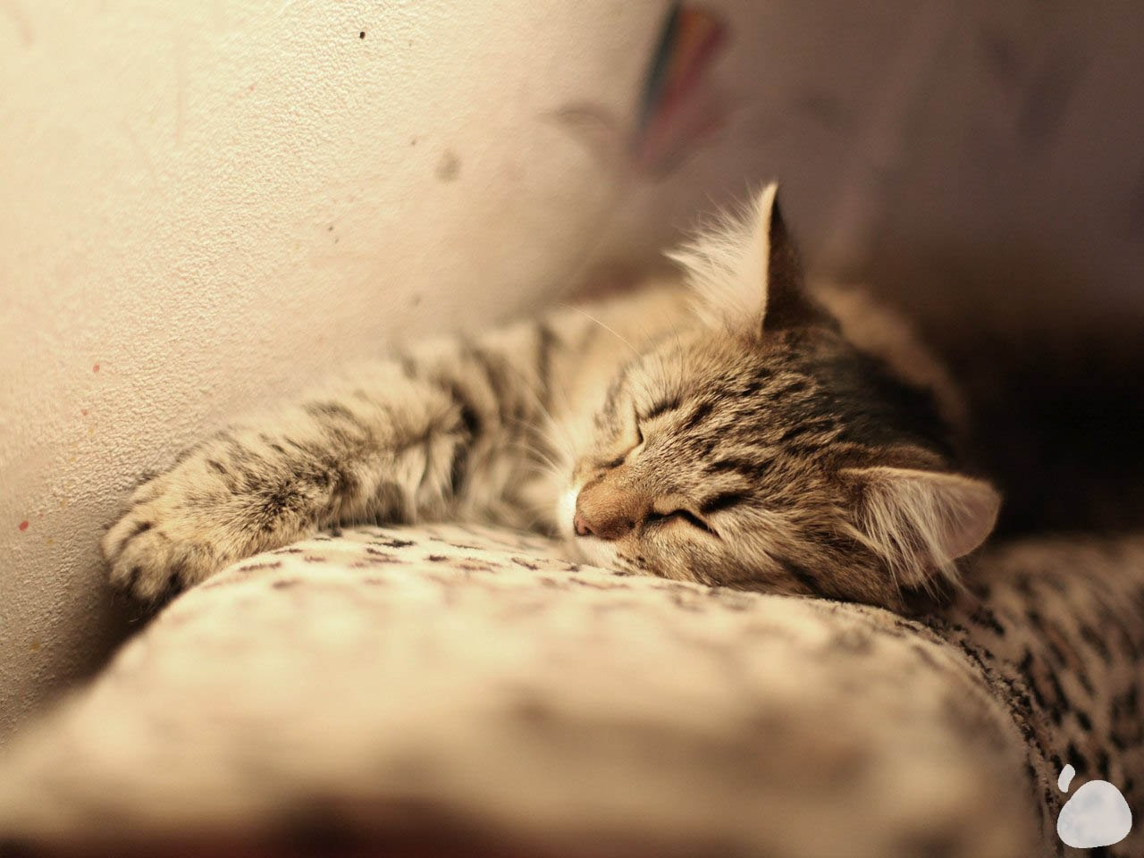 Город|природа. Профессиональный фотограф Инесса Новикова в Москве