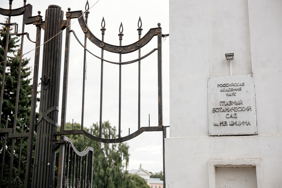 Свадьба Димы и Ксюши. Профессиональный фотограф Инесса Новикова в Москве