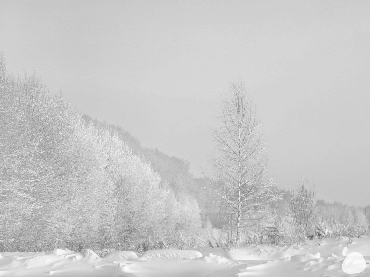 Город|природа. Профессиональный фотограф Инесса Новикова в Москве