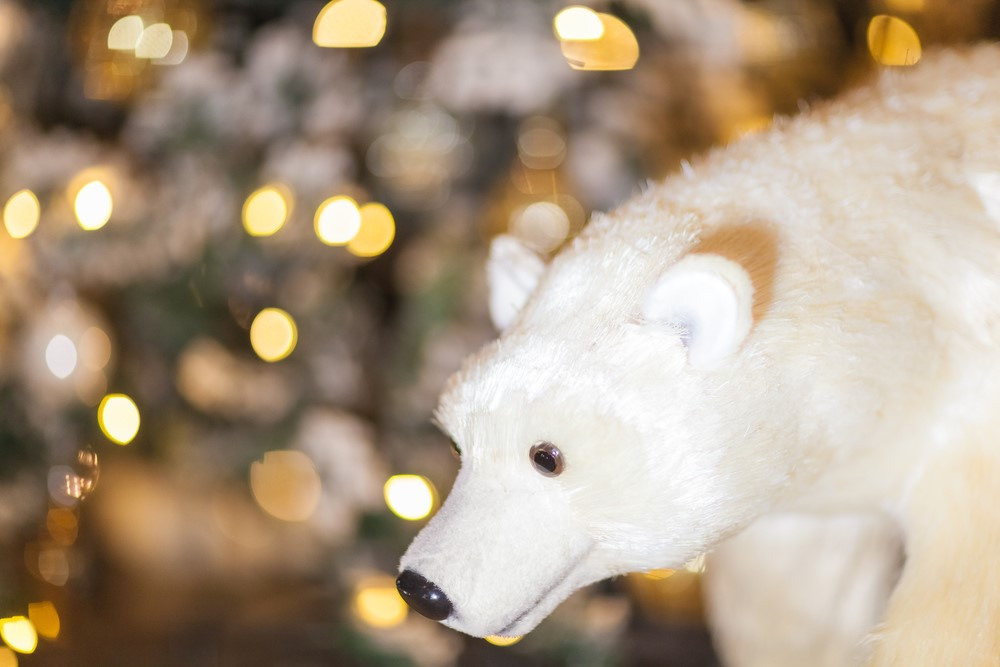 Интерьеры. Профессиональный фотограф Инесса Новикова в Москве