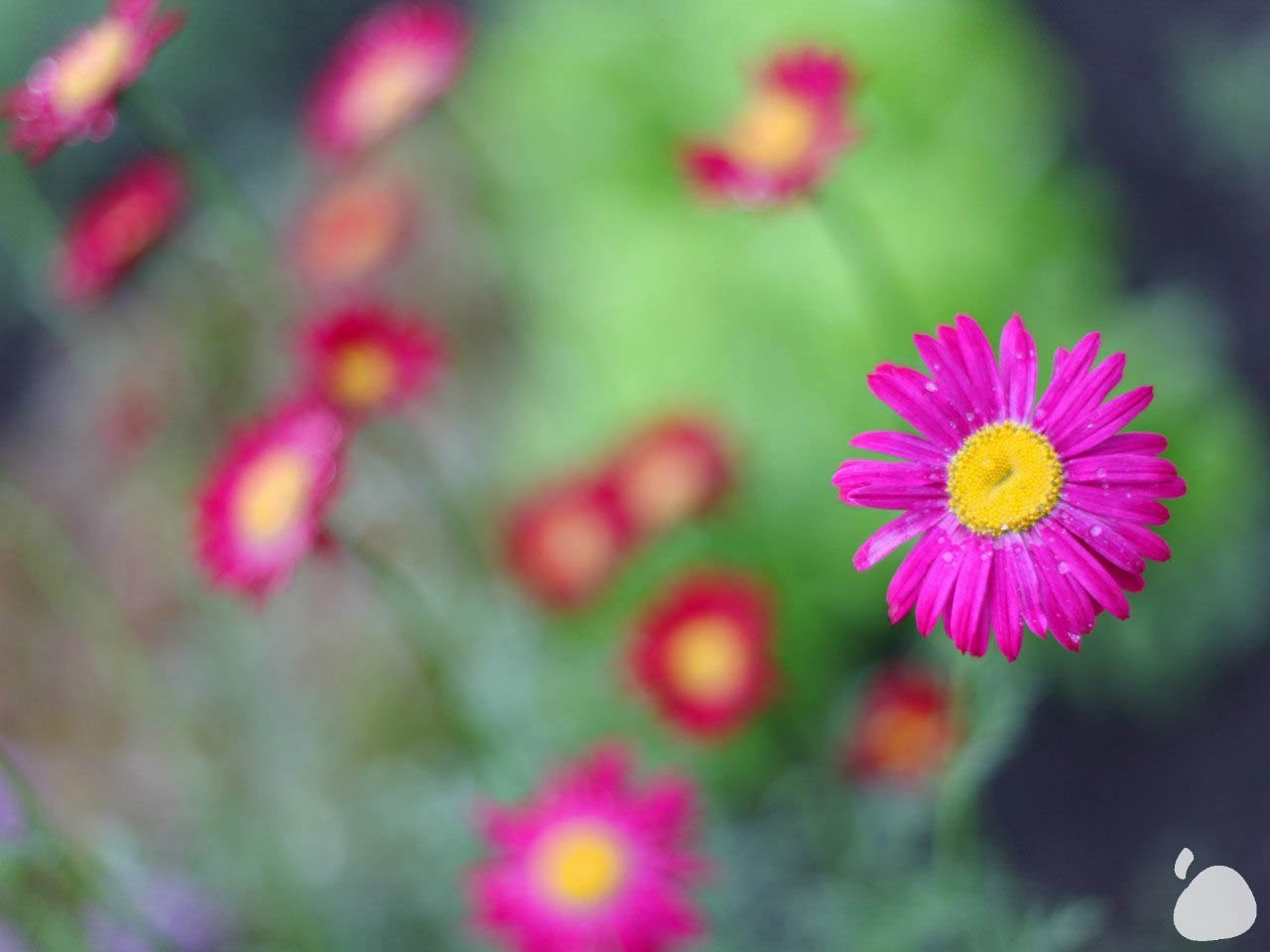 Город|природа. Профессиональный фотограф Инесса Новикова в Москве