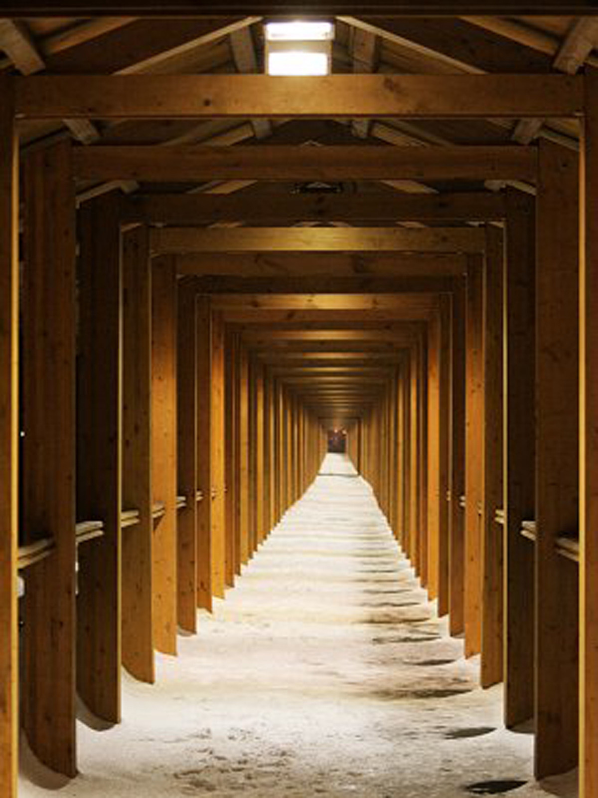 Город|природа. Профессиональный фотограф Инесса Новикова в Москве