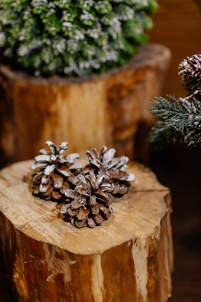 Предметная. Профессиональный фотограф Инесса Новикова в Москве