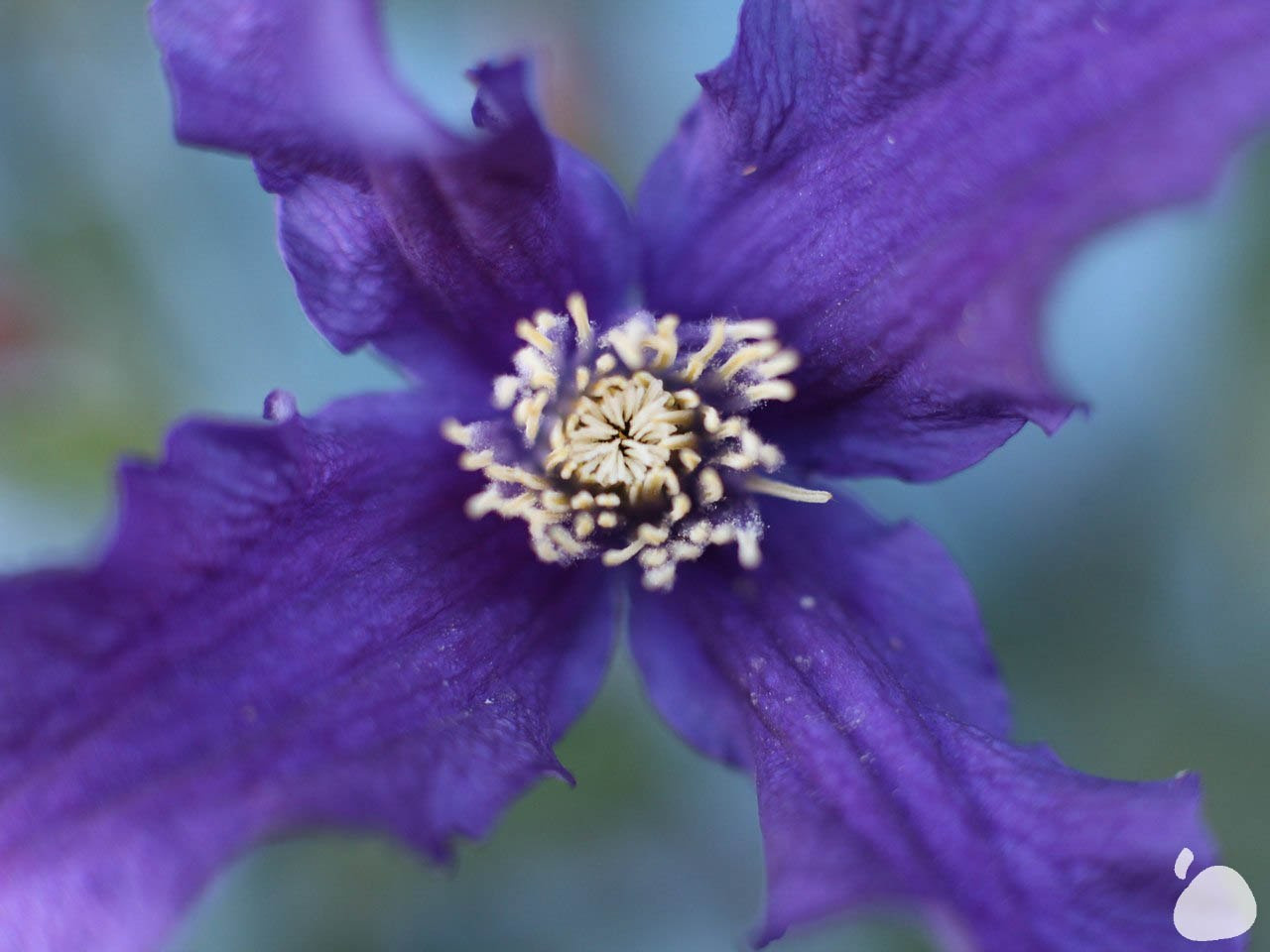 Город|природа. Профессиональный фотограф Инесса Новикова в Москве