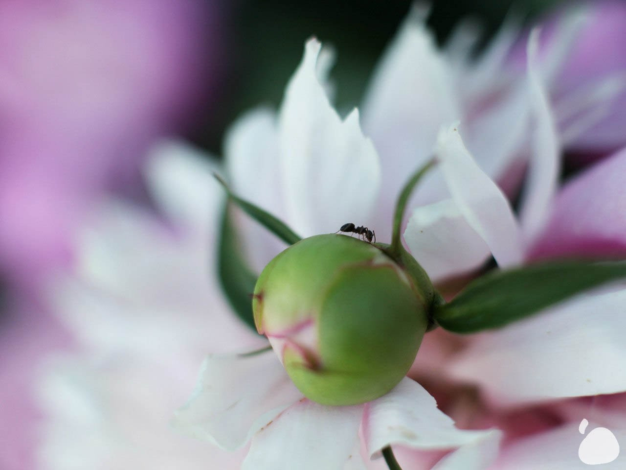 Город|природа. Профессиональный фотограф Инесса Новикова в Москве