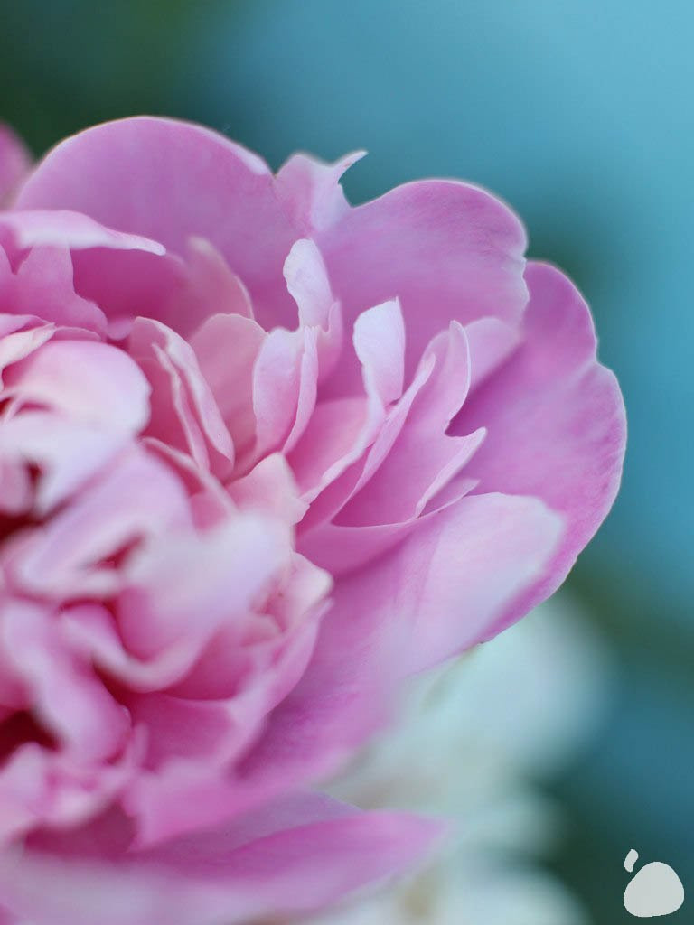 Город|природа. Профессиональный фотограф Инесса Новикова в Москве