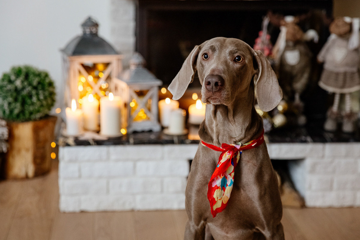 Семья. Профессиональный фотограф Инесса Новикова в Москве