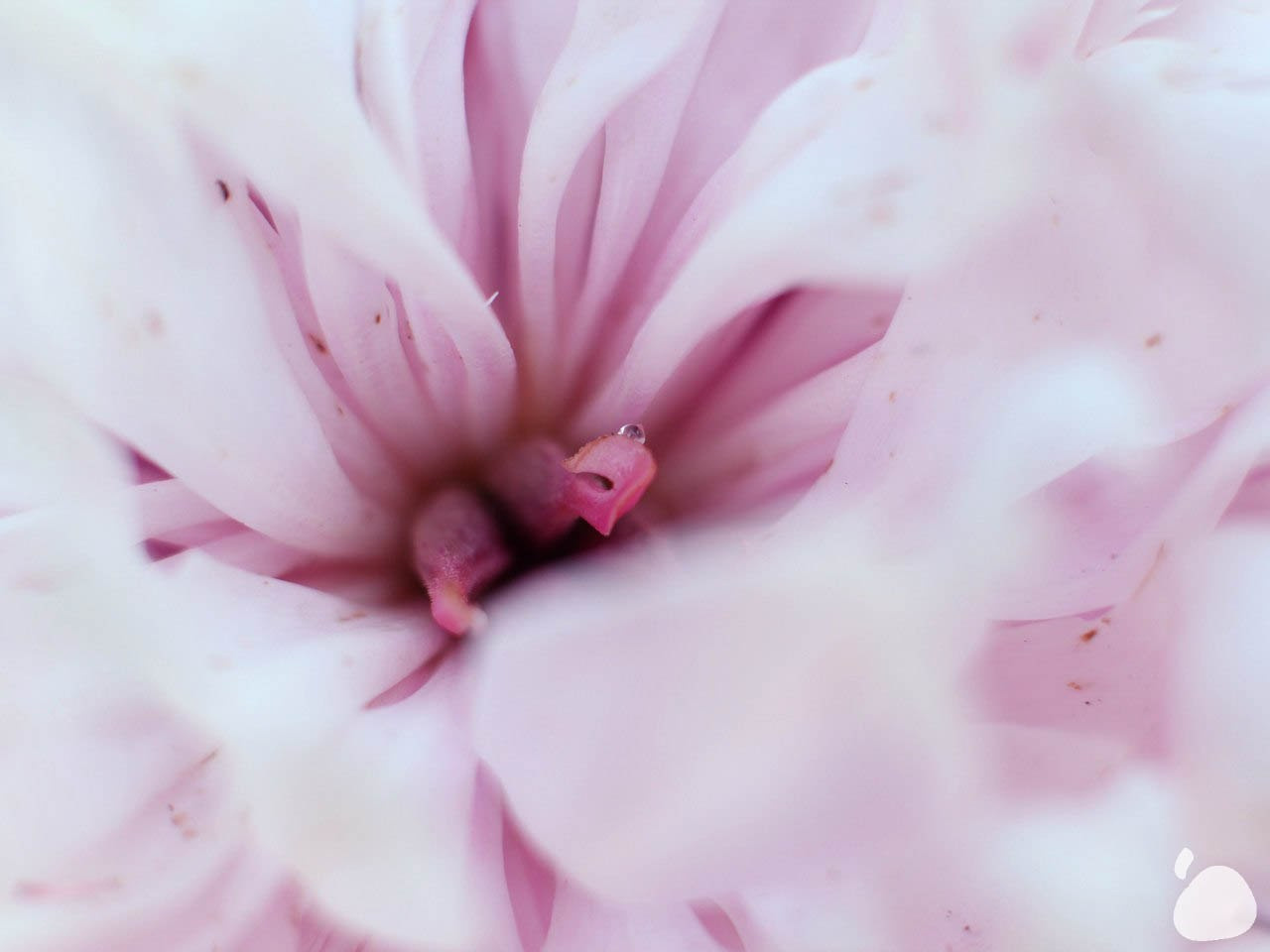 Город|природа. Профессиональный фотограф Инесса Новикова в Москве