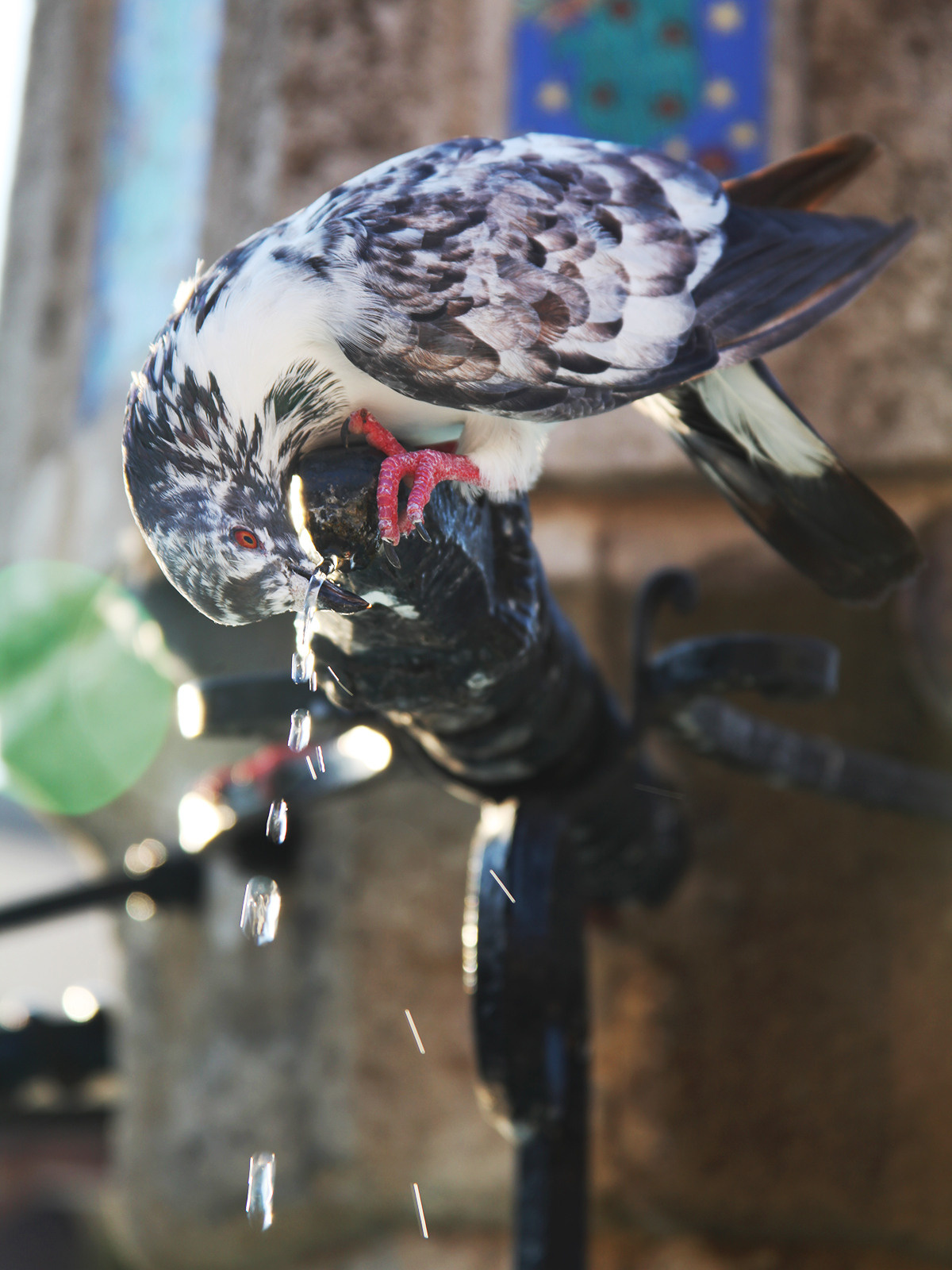 Город|природа. Профессиональный фотограф Инесса Новикова в Москве