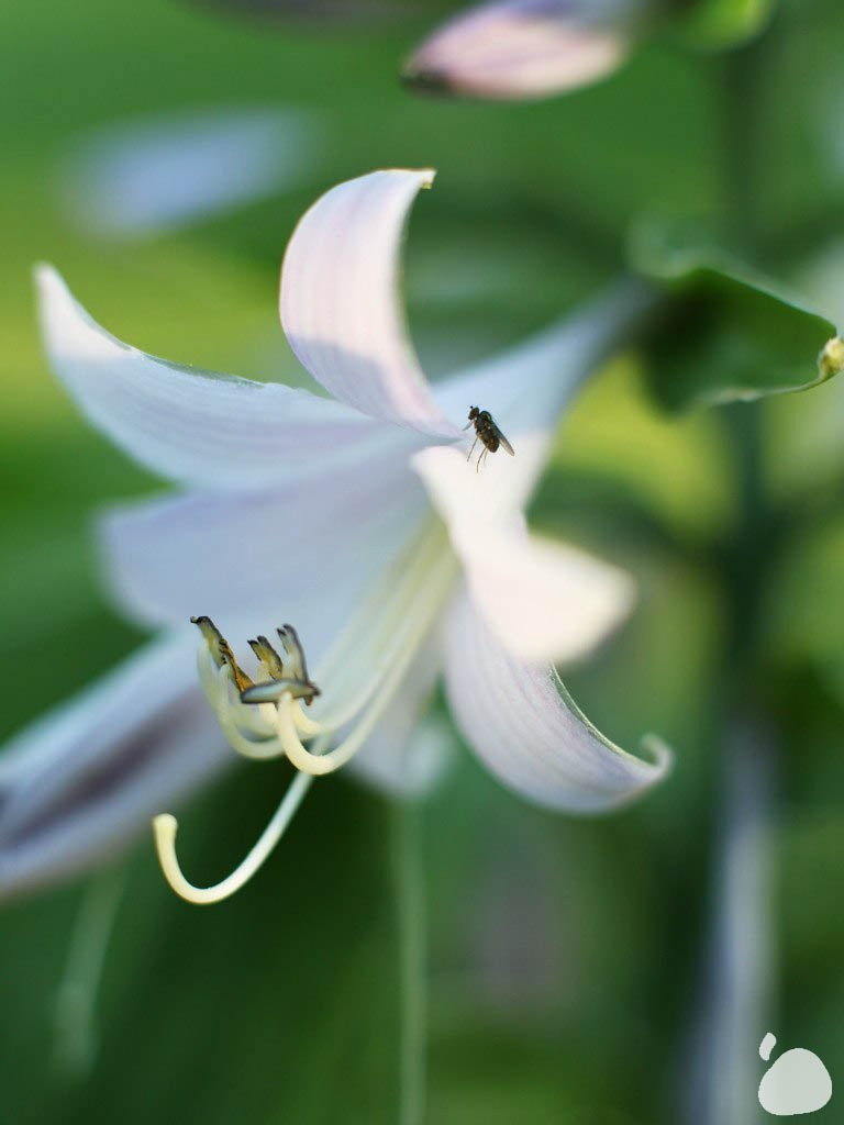 Город|природа. Профессиональный фотограф Инесса Новикова в Москве
