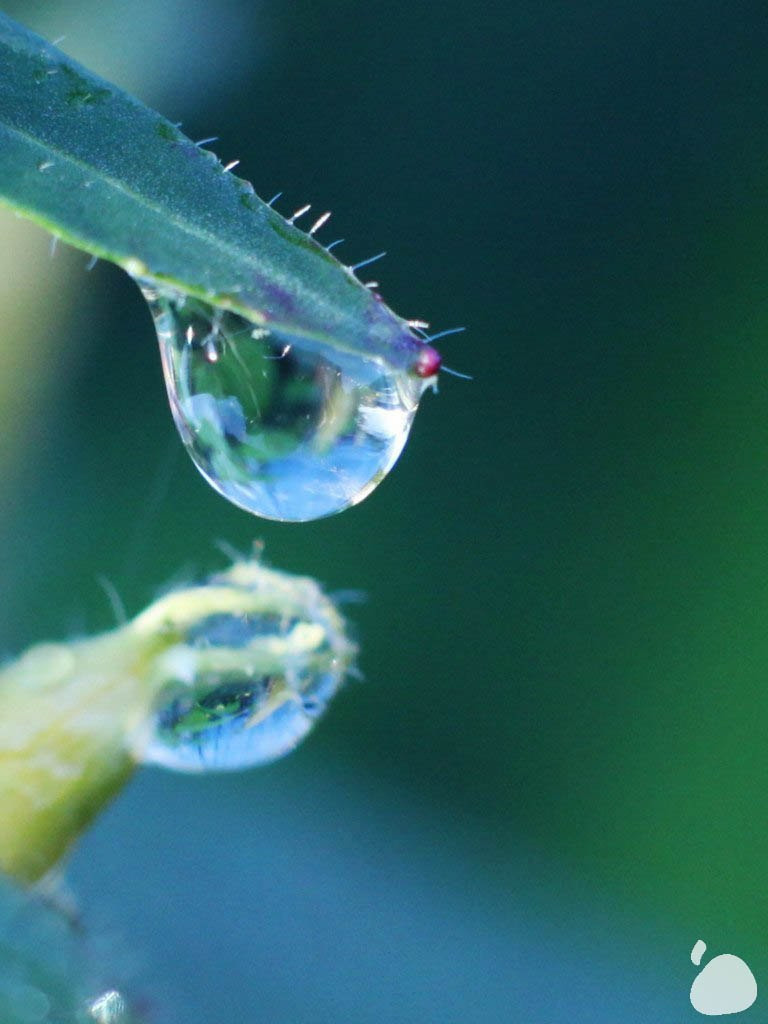 Город|природа. Профессиональный фотограф Инесса Новикова в Москве