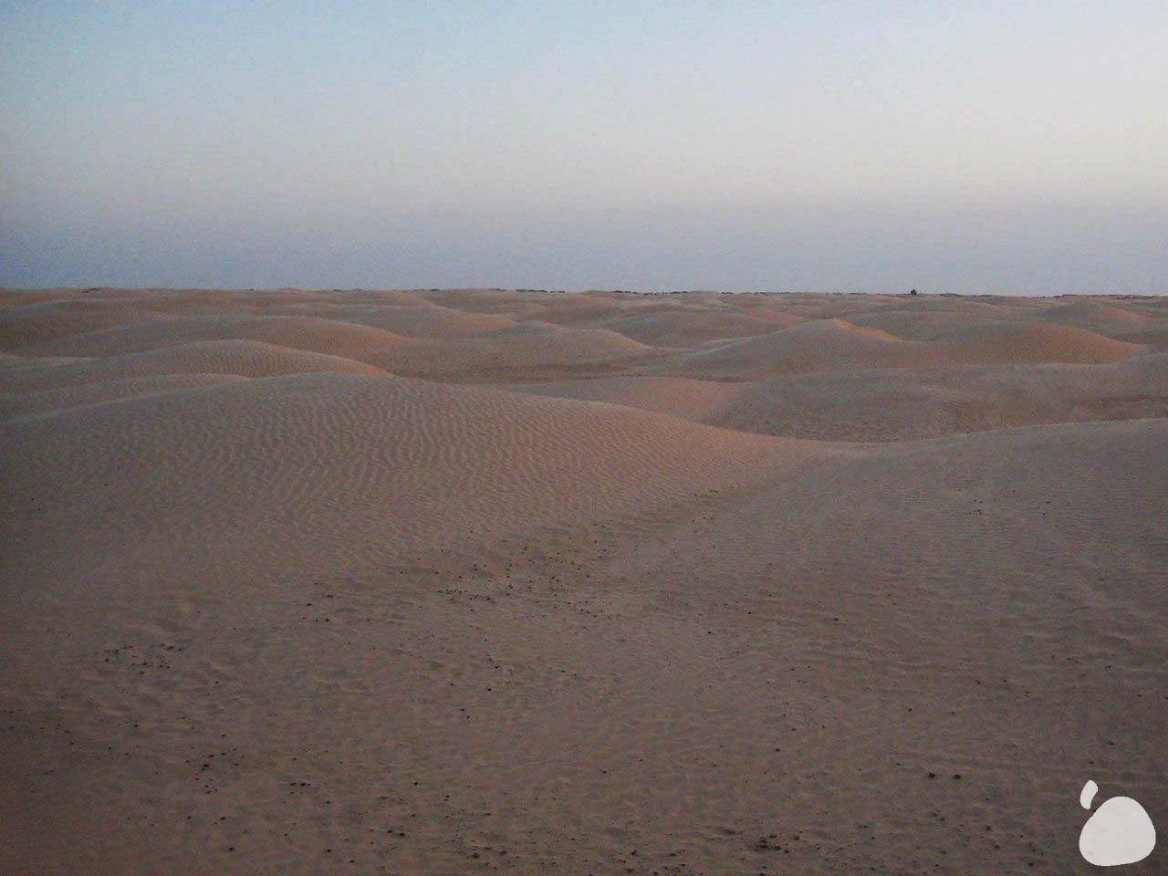 Город|природа. Профессиональный фотограф Инесса Новикова в Москве