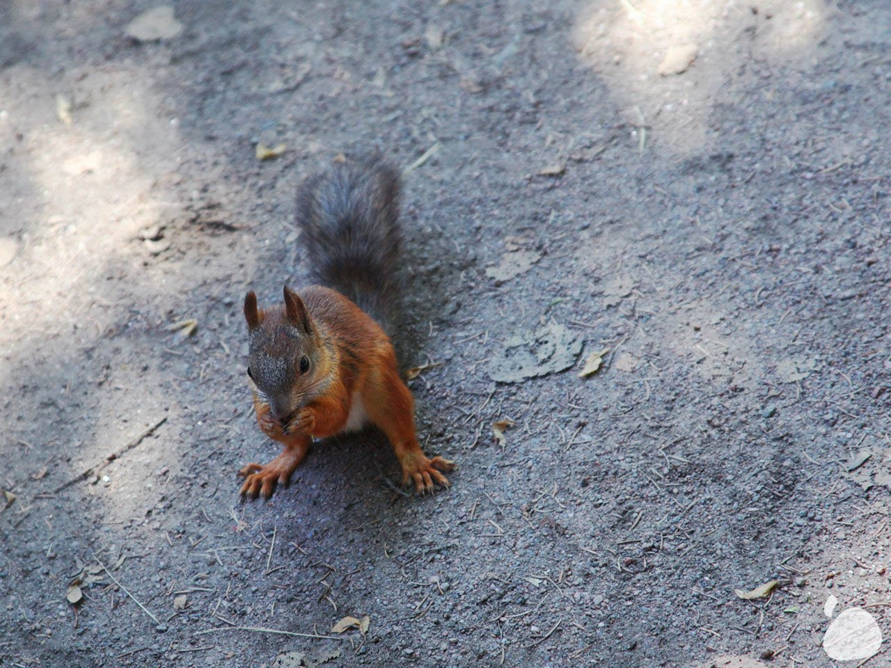 Город|природа. Профессиональный фотограф Инесса Новикова в Москве