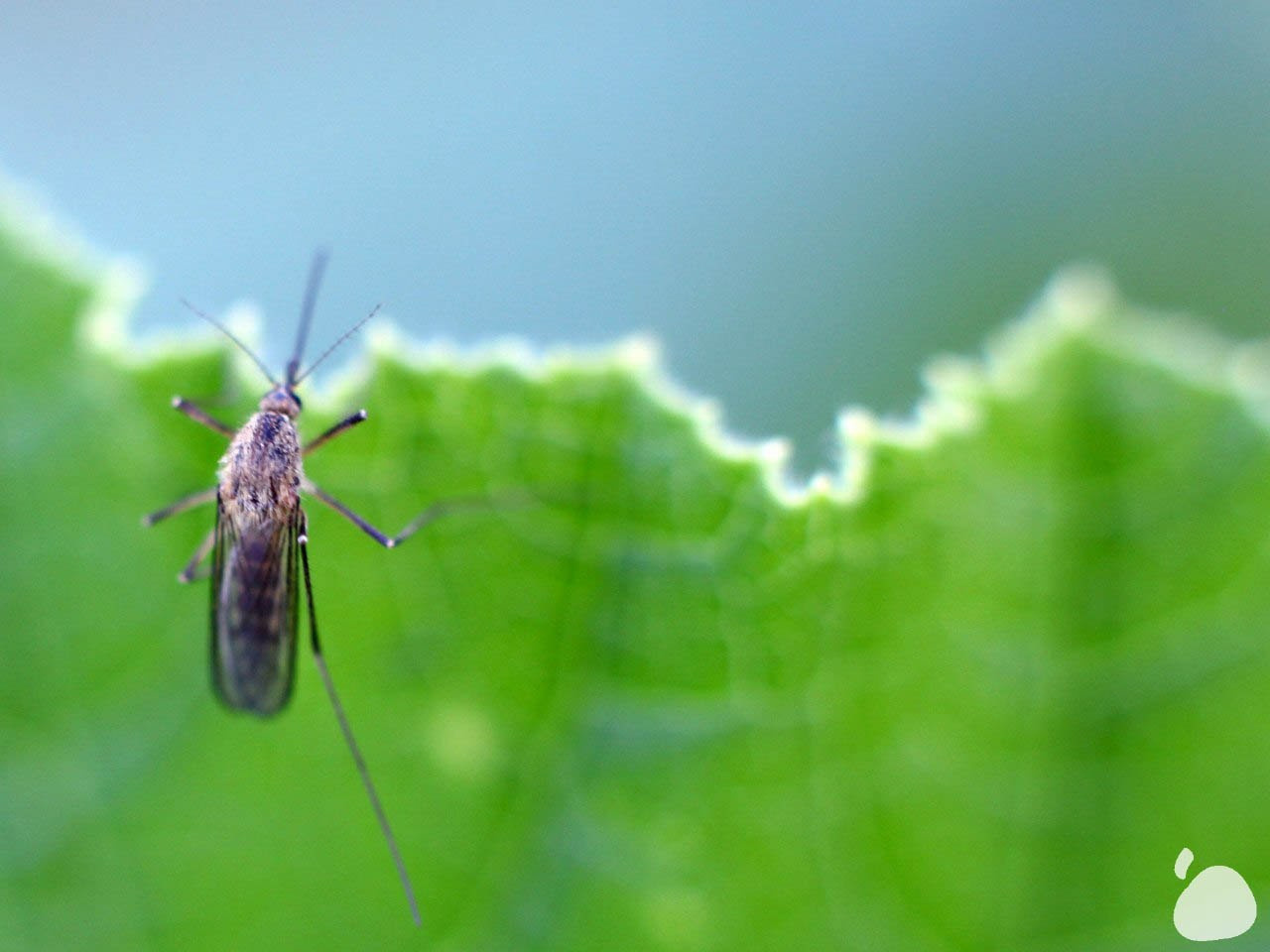 Город|природа. Профессиональный фотограф Инесса Новикова в Москве