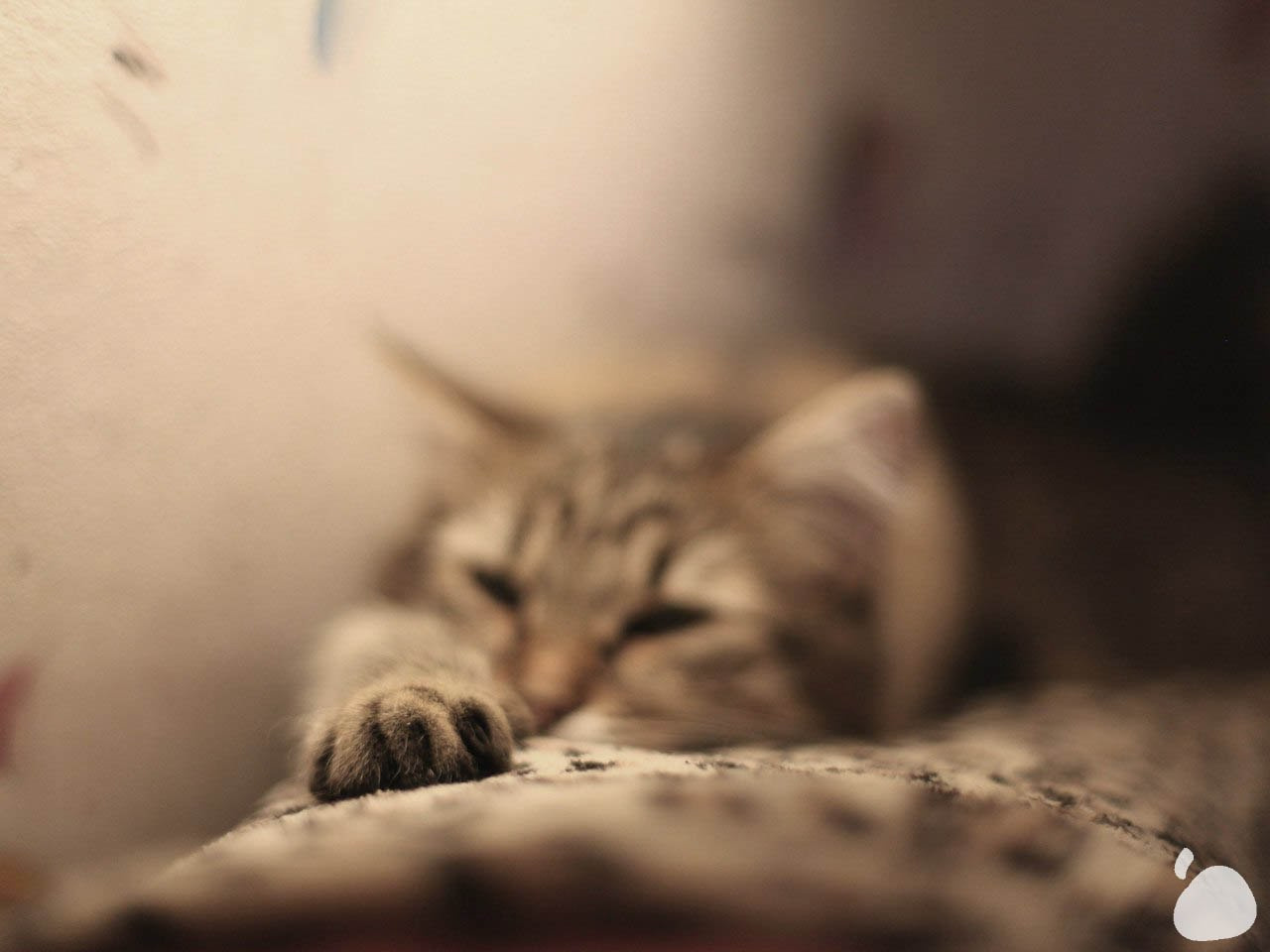 Город|природа. Профессиональный фотограф Инесса Новикова в Москве