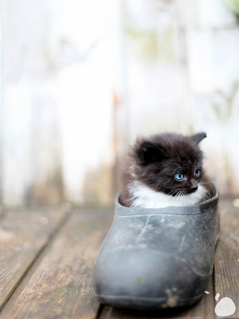 Город|природа. Профессиональный фотограф Инесса Новикова в Москве