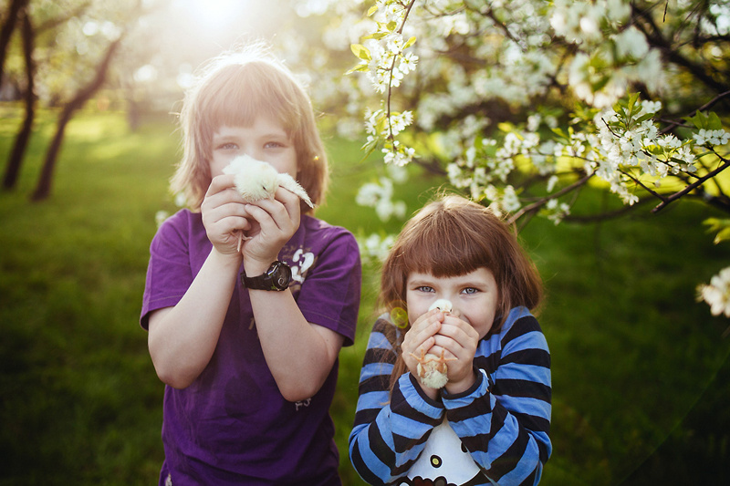 Цветущий сад. Семейный и свадебный фотограф Катя Антонова Москва Сочи