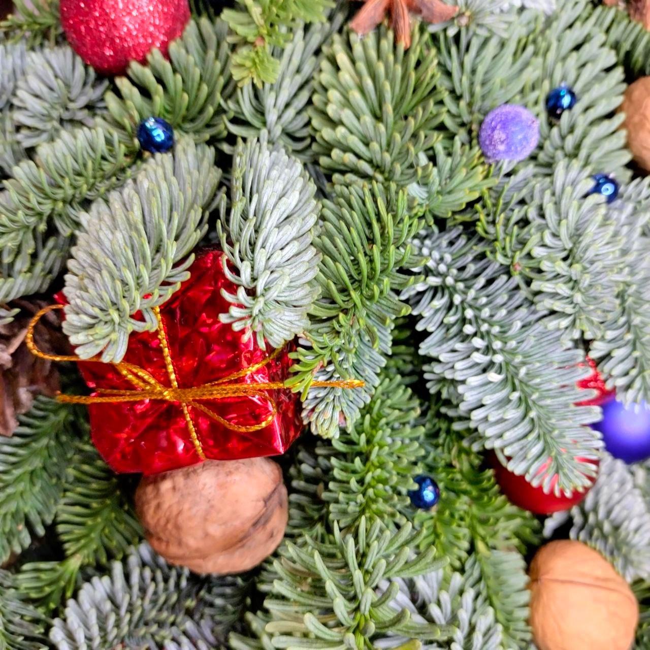 Новый Год и Рождество. Мария Сурмина-Ким. Флорист