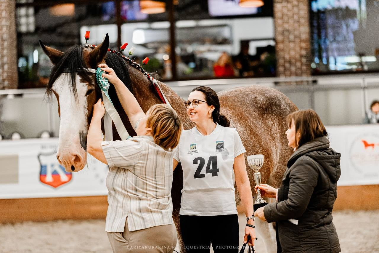 Ринг-выводка тяжелоупряжных пород ТИТАНЫ КОННОГО МИРА в рамках 9-й МЕЖДУНАРОДНОЙ ВЫСТАВКИ КОННАЯ РОССИЯ. Конный фотограф Куракина Дарья • Фотосессии с лошадьми